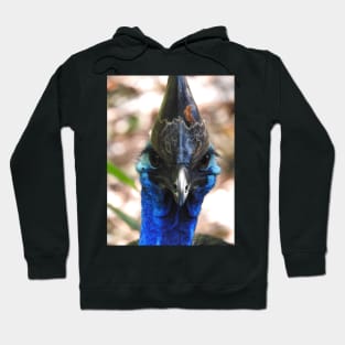 Cassowary Hoodie